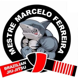 Main image of Marcelo Ferreria bjj