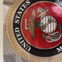 Main image of Marines