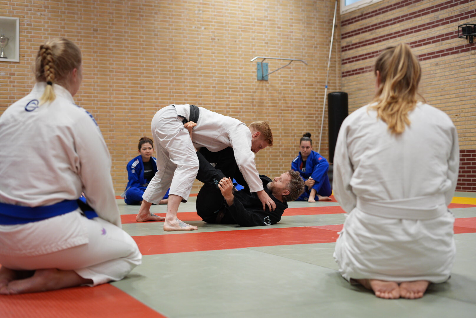 Main image of Marshlands Jiu-Jitsu