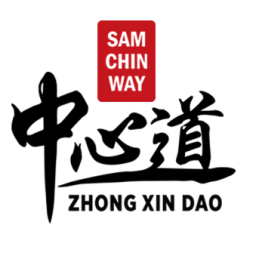 Main image of Martial Art of Awareness (I Liq Chuan