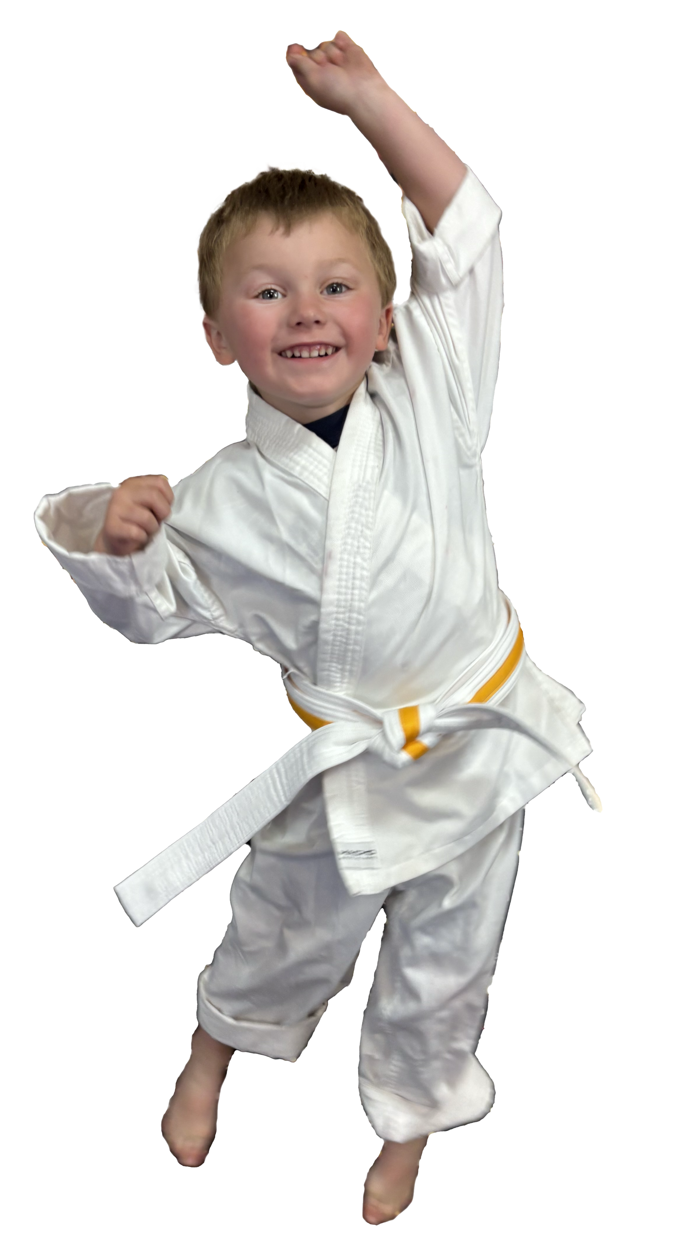 Main image of Martial Arts America