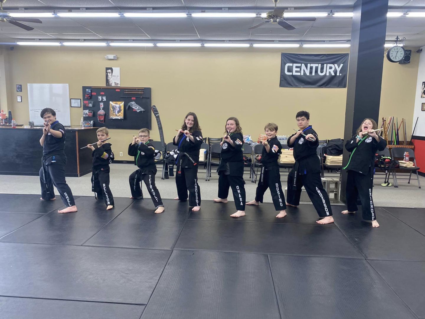 Main image of Martial Arts America