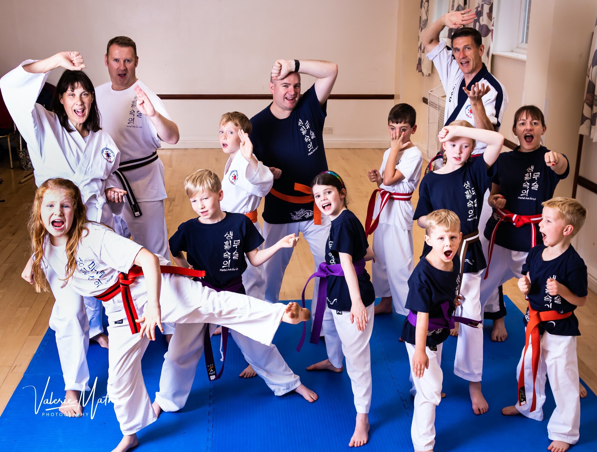 Main image of Martial Arts For Life Llp