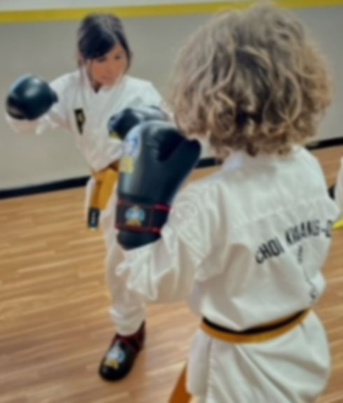 Main image of Martial Arts Mallorca