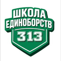 Main image of Martial Arts School 313