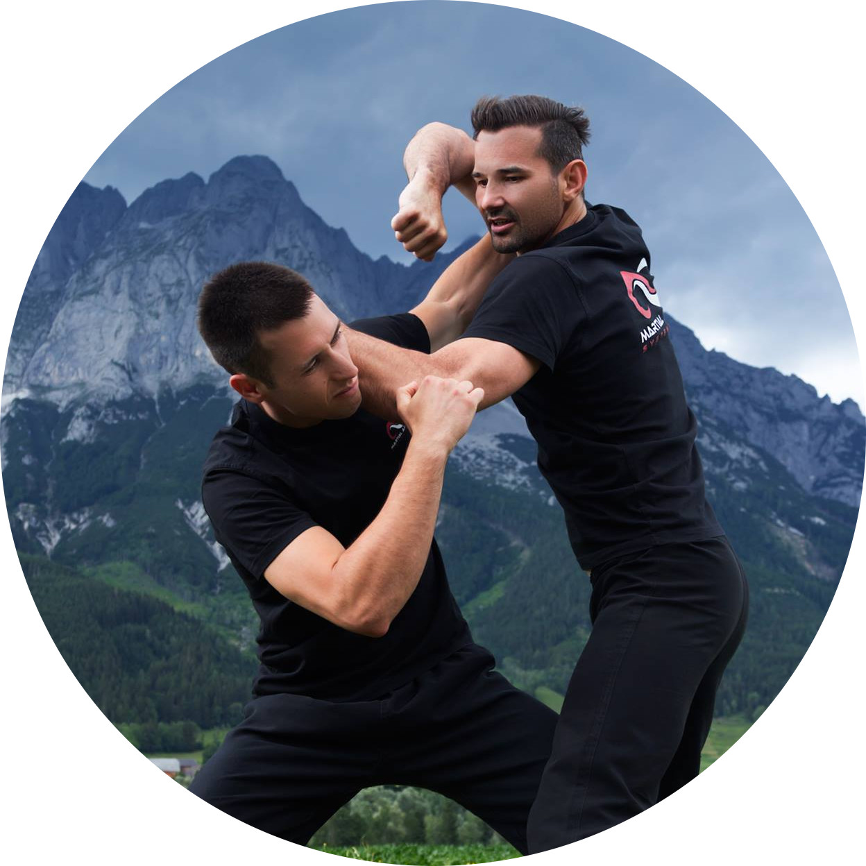 Main image of Martial Arts Systematics Nova Gorica