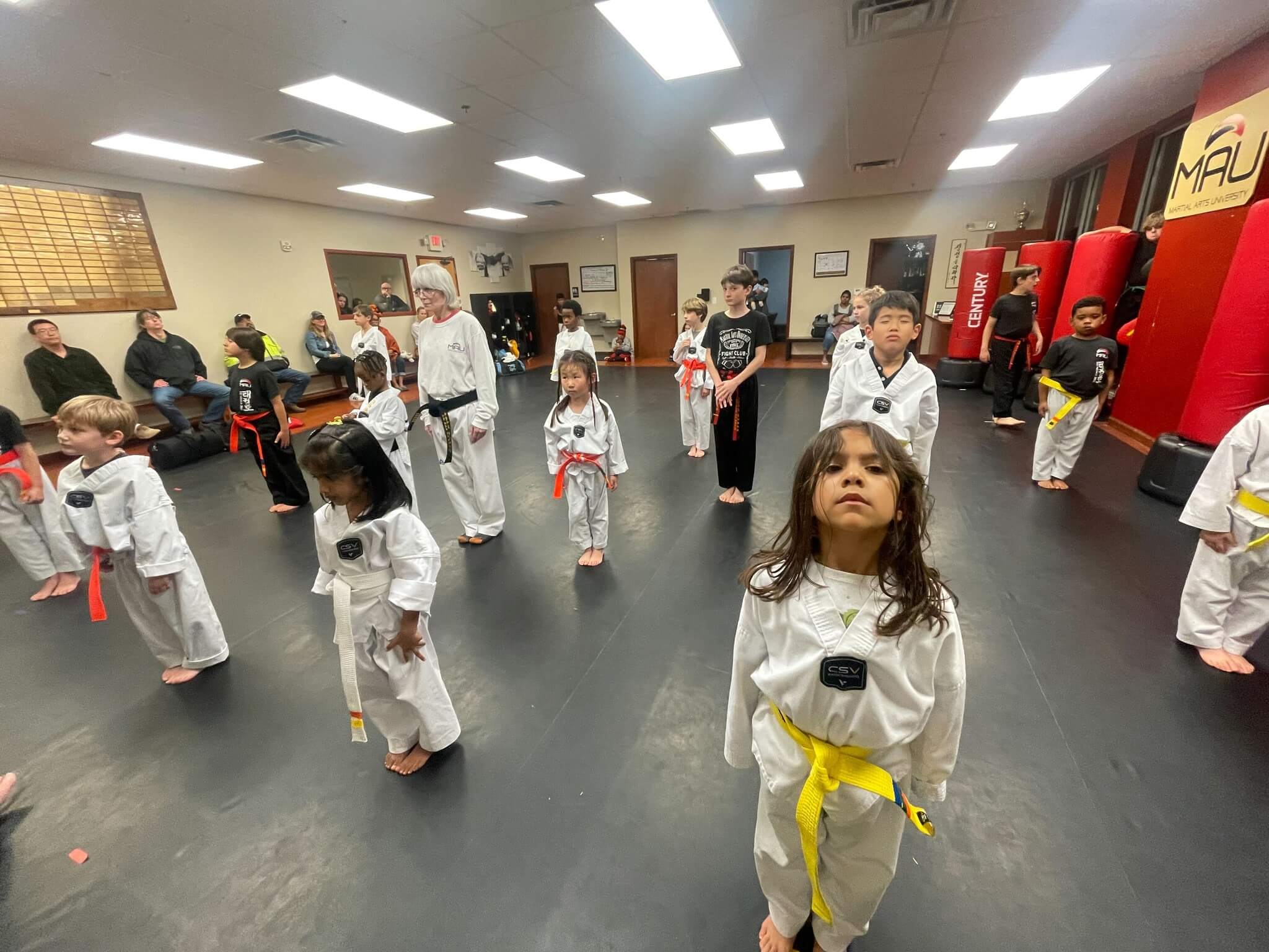 Main image of Martial Arts University