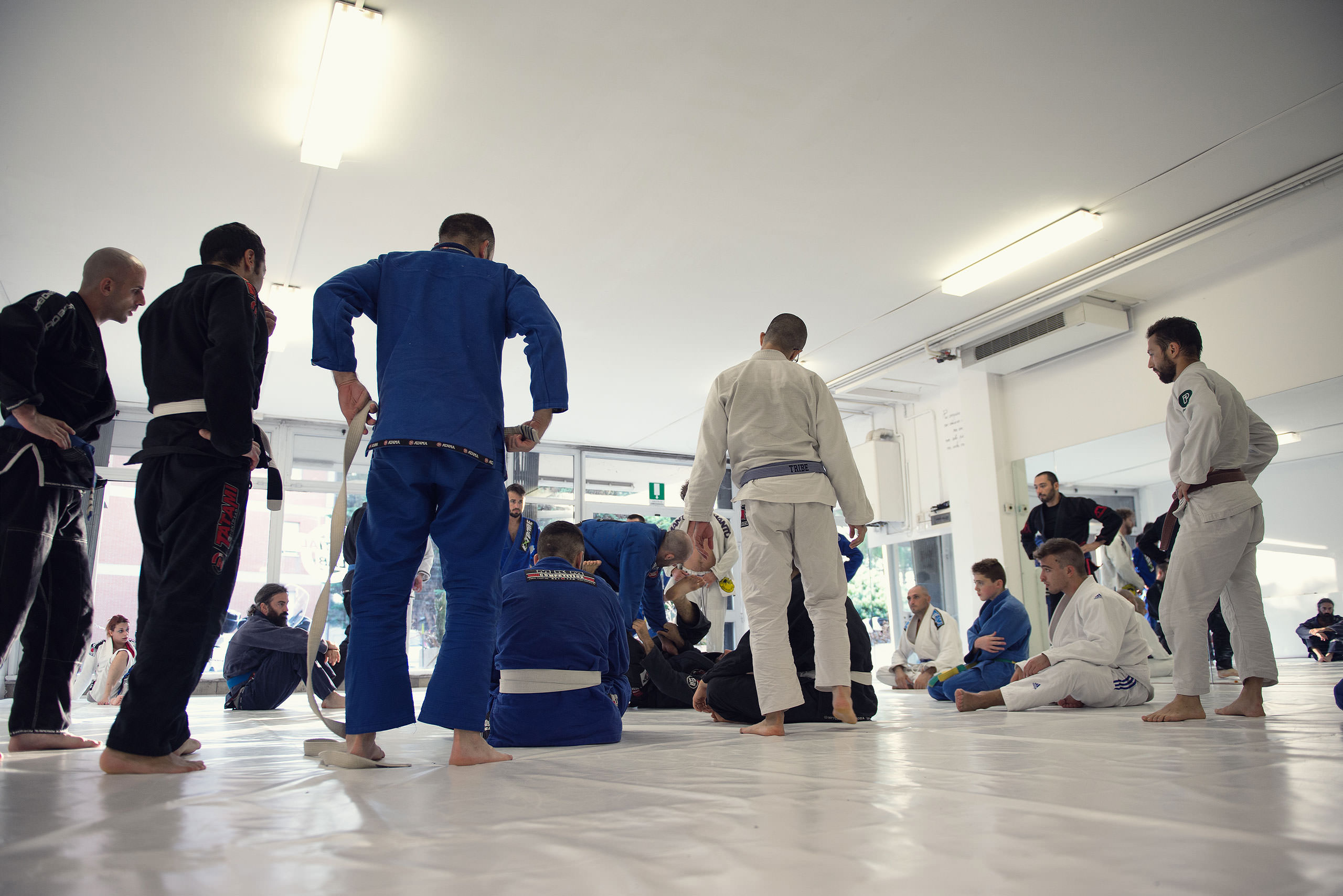 Main image of Martial Lab