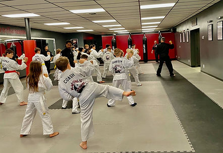Main image of Martial's Kenpo Karate