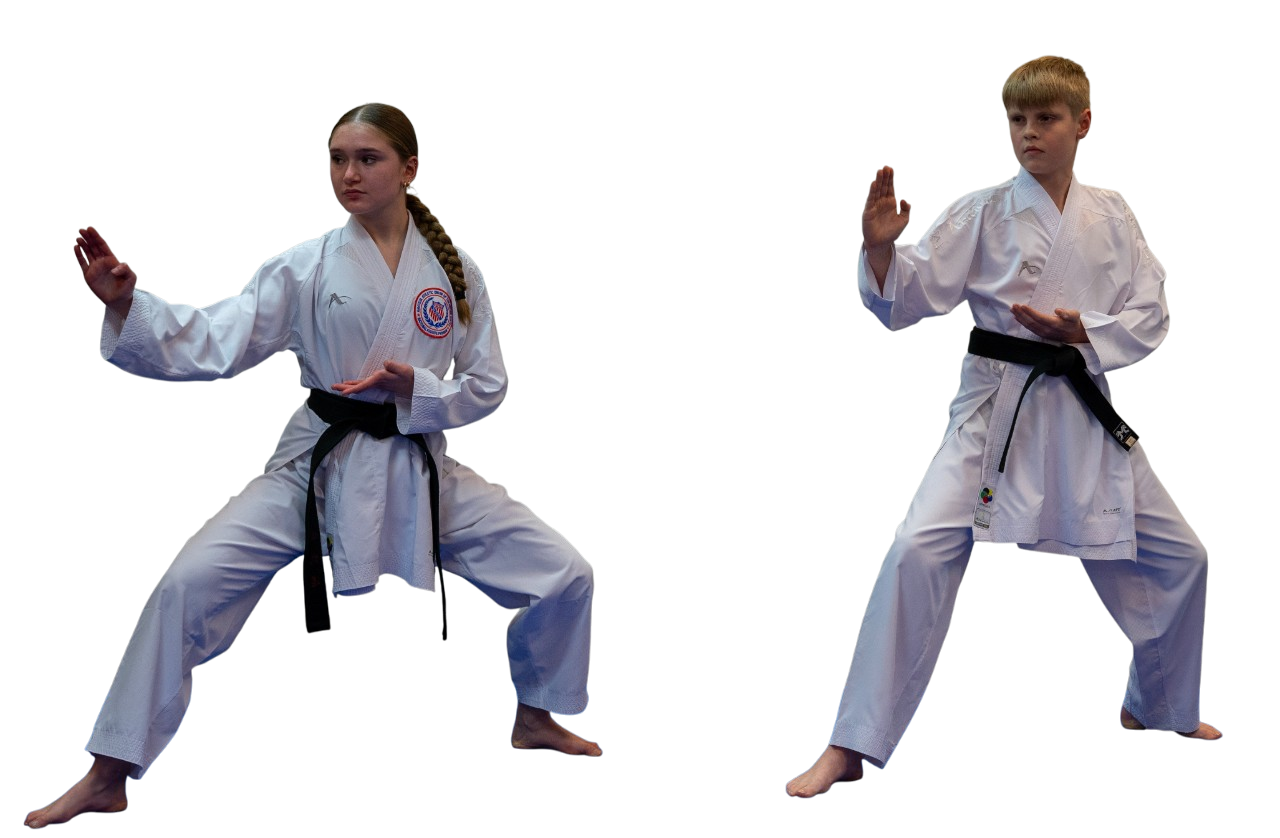 Paik's Martial Arts