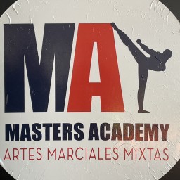 Main image of Máster Academy MMA