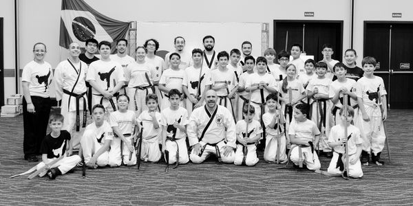 Main image of Master Artes Marciais
