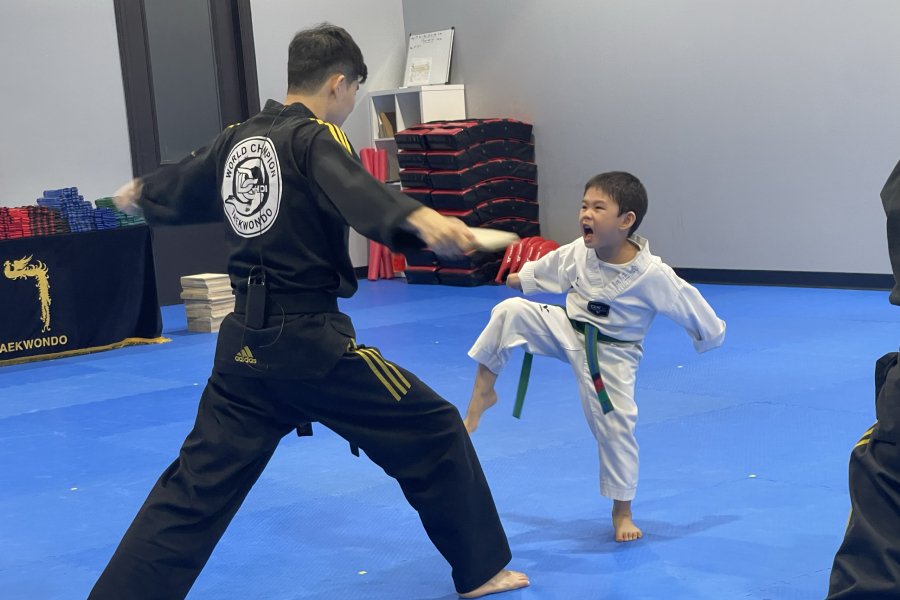 Master D Choi's World Champion Taekwondo
