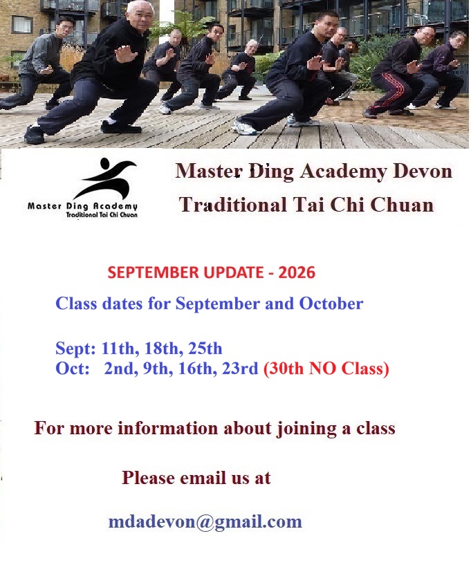 Main image of Master Ding Academy Devon - Traditional Tai Chi Chuan