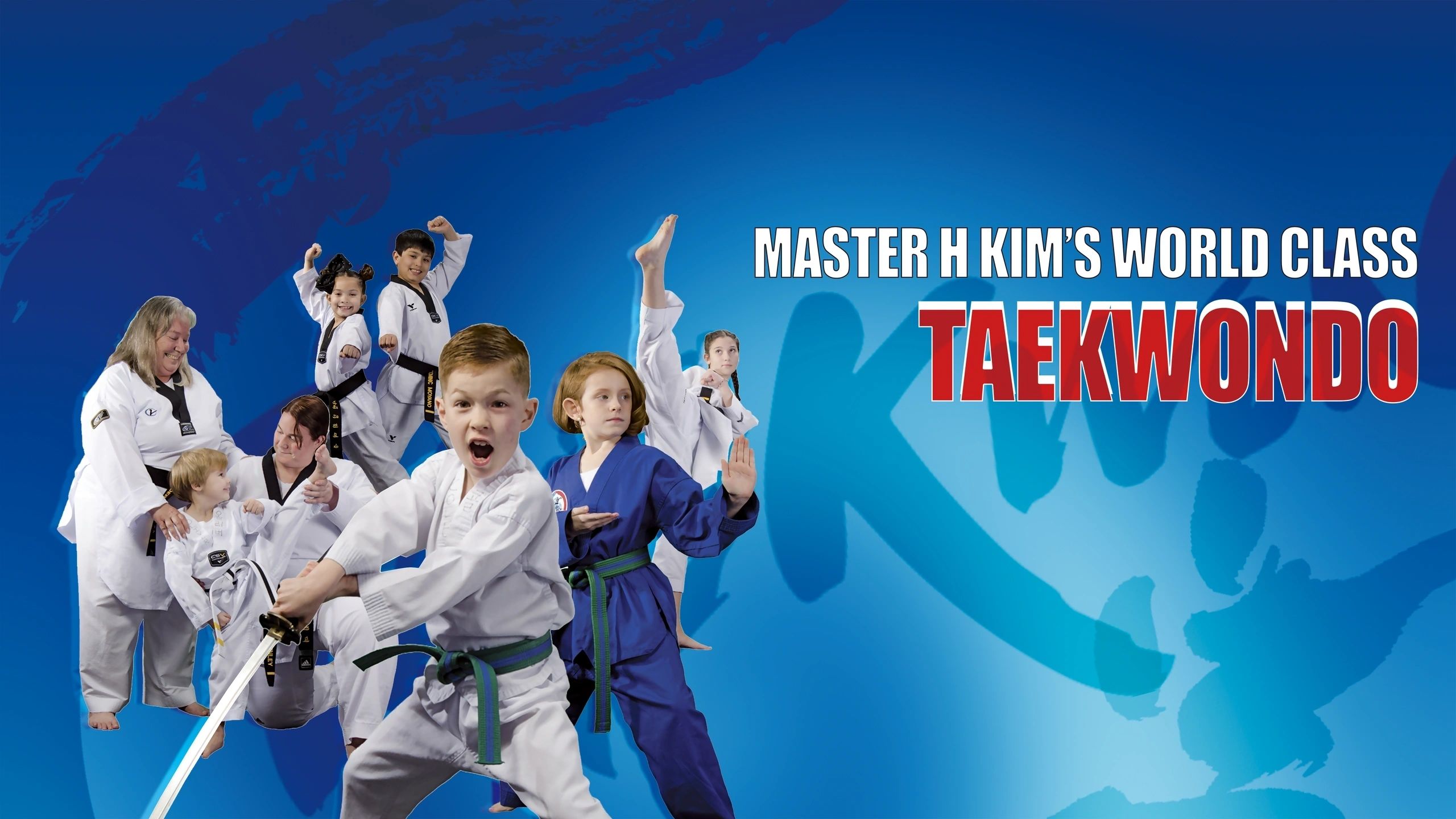 Main image of Master H Kim's World Class Tae Kwon Do
