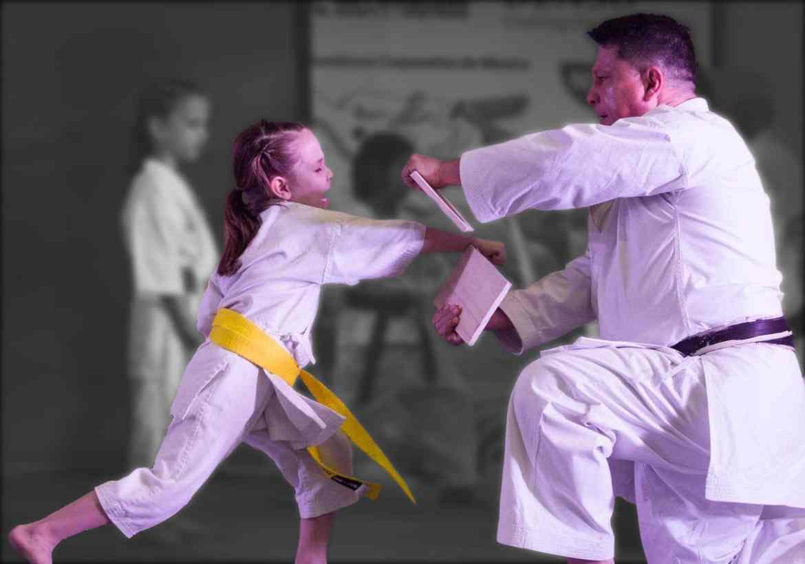 Main image of Master Karate Murayama