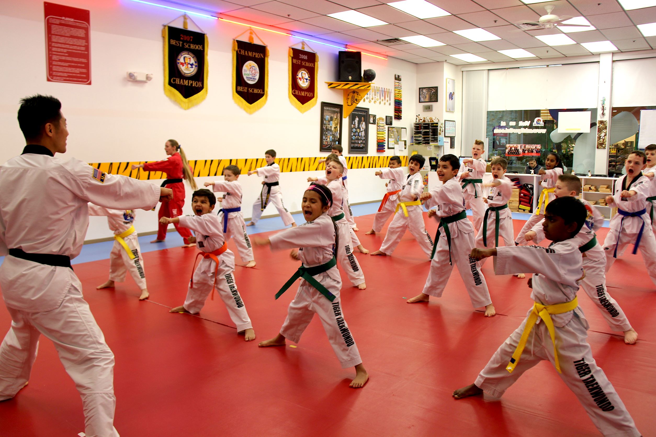Main image of Master Kim's Tiger Tae Kwon Do