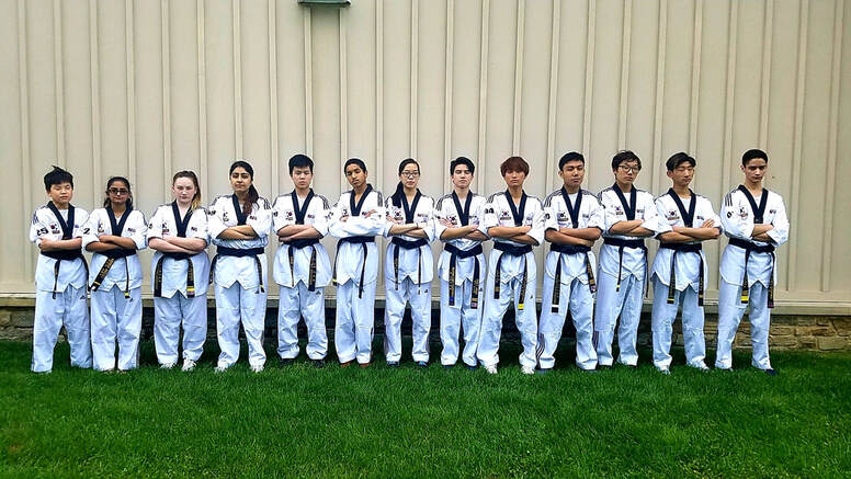 Main image of Master Lim's Taekwondo