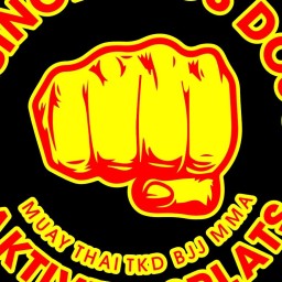 Main image of Master - MS JiuJitsu BJJ - Swe