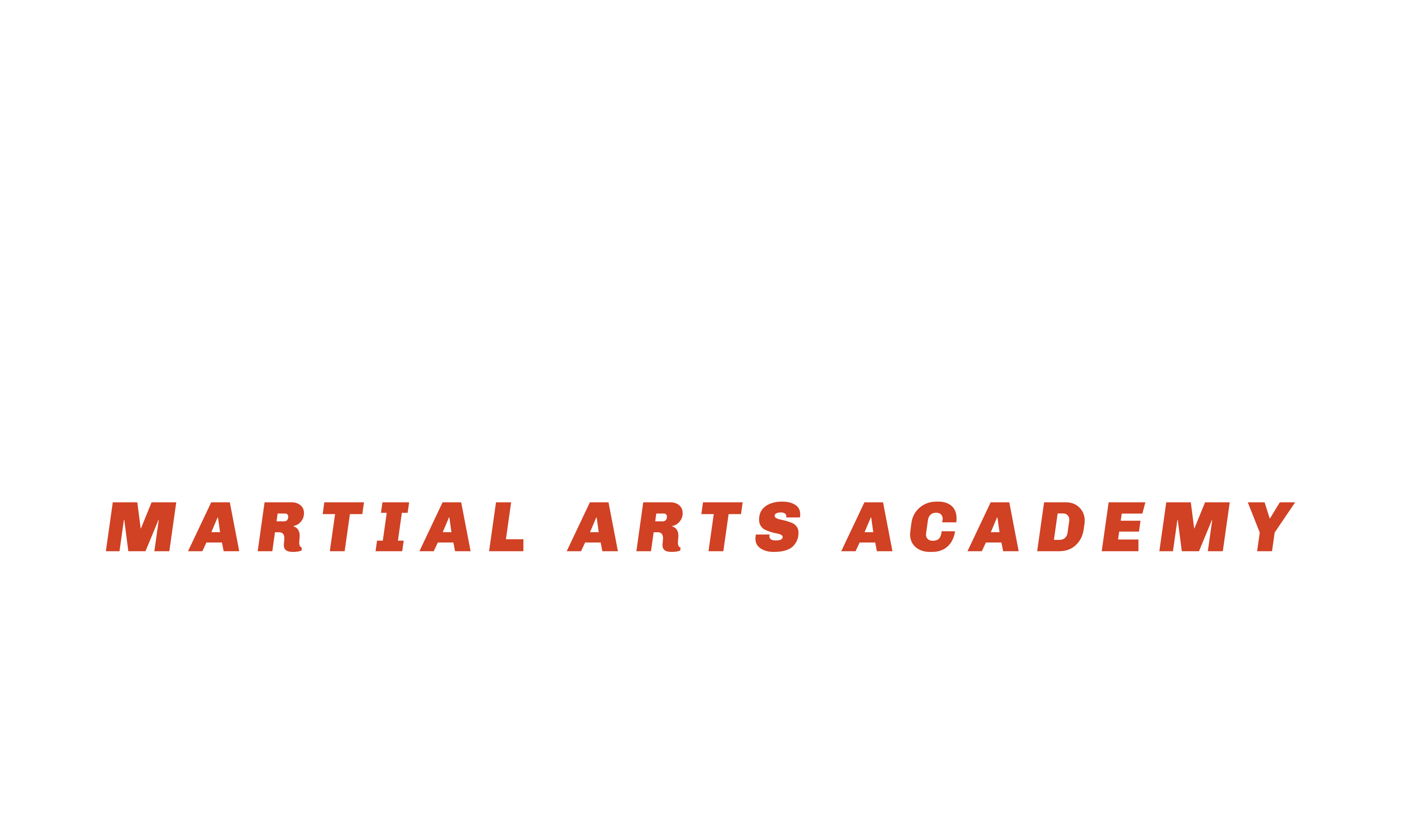 Main image of Master Pak's Martial Arts Academy