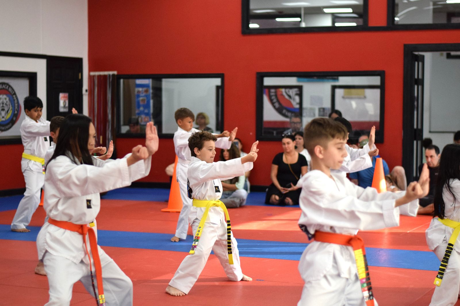 Main image of Master Park's Black Belt America