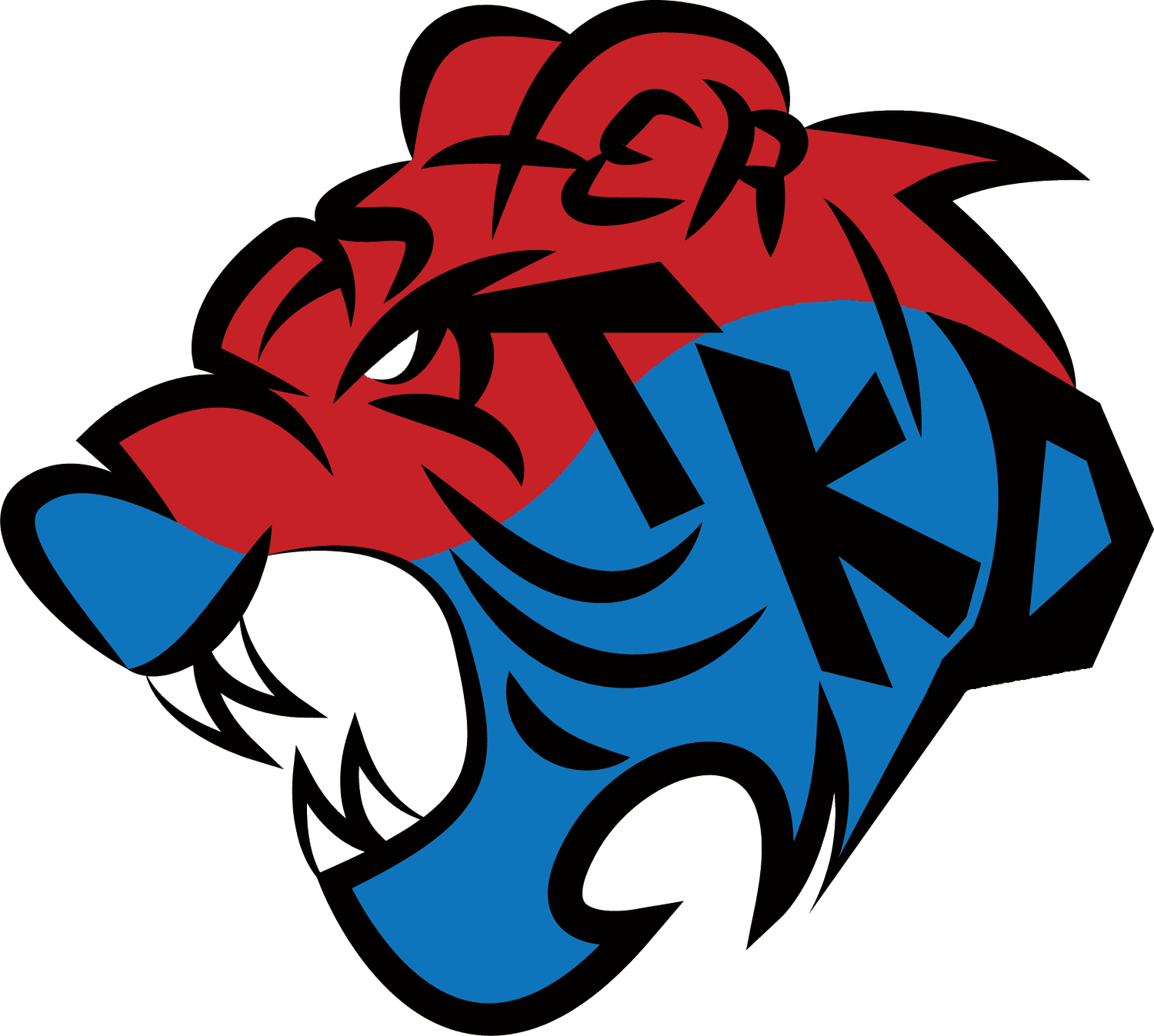 Main image of Master Taekwondo