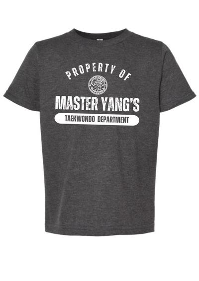 Main image of Master Yang's World Class Tae Kwon Do Cedar Park