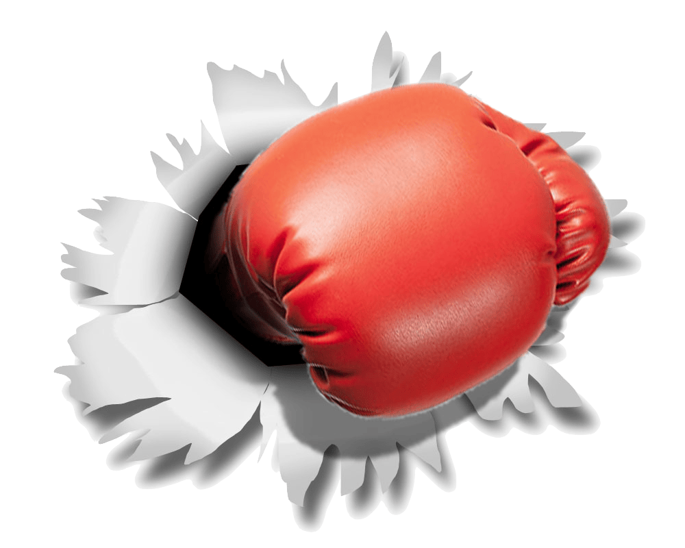 Main image of Mastering MMA/ MMA Institute