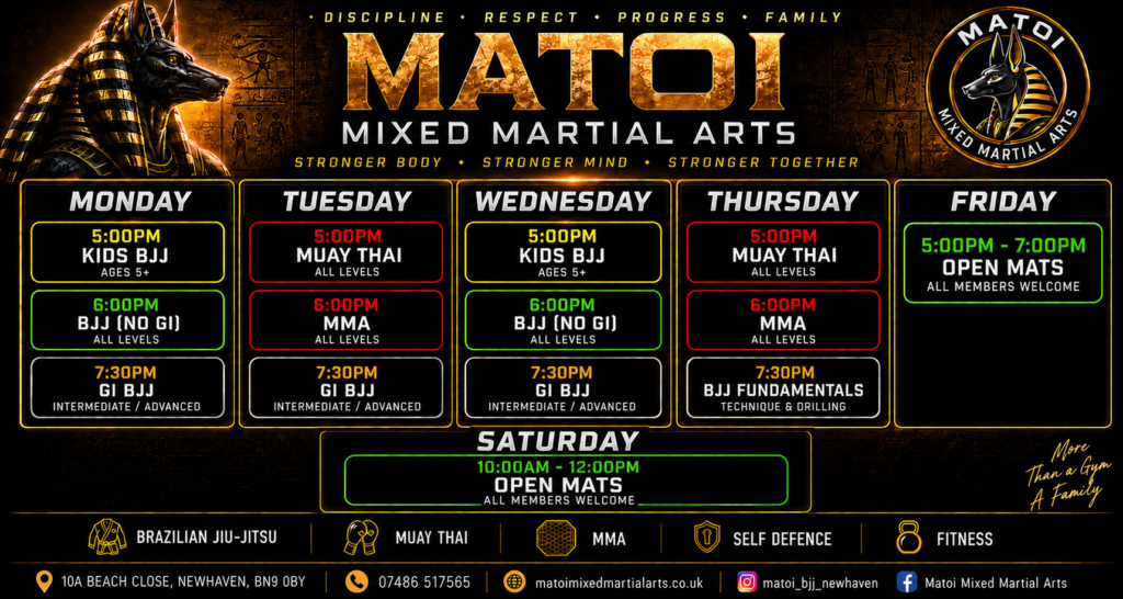 Main image of MATOI mixed martial arts