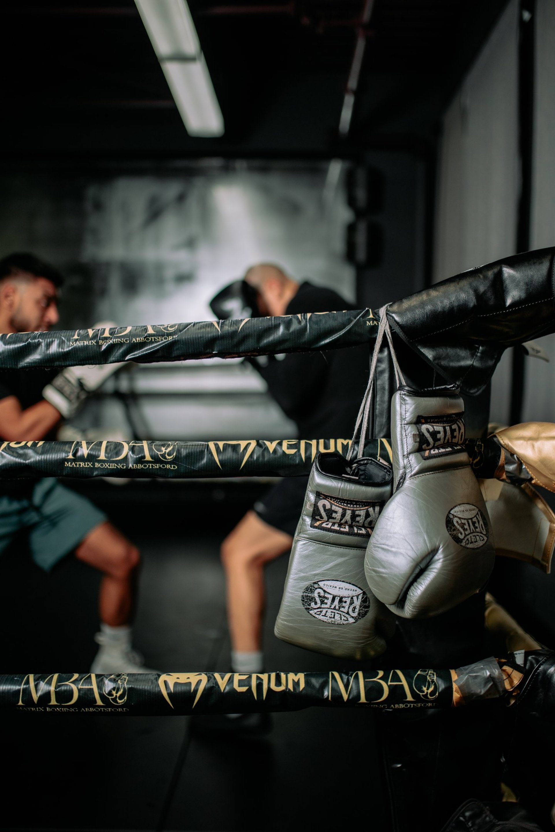 Matrix Boxing academy image