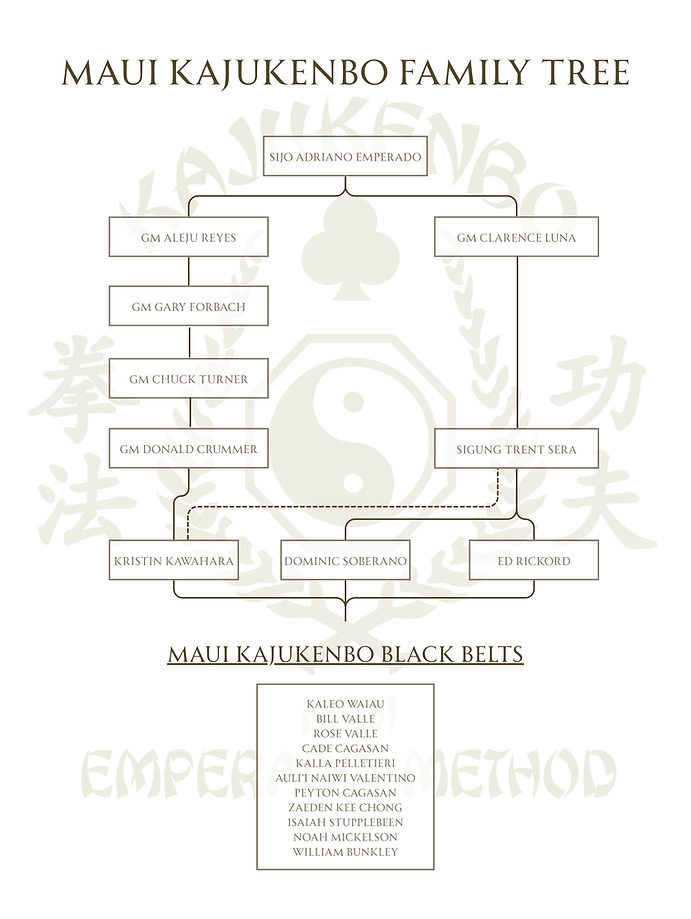 Main image of Maui Kajukenbo