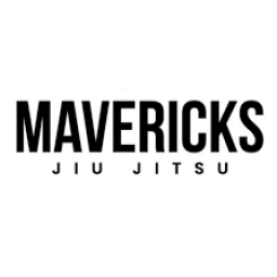 Main image of Mavericks Team