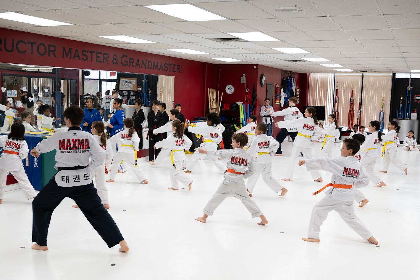 Main image of Max Martial Arts