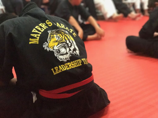 Main image of Mayer's Karate & Fitness