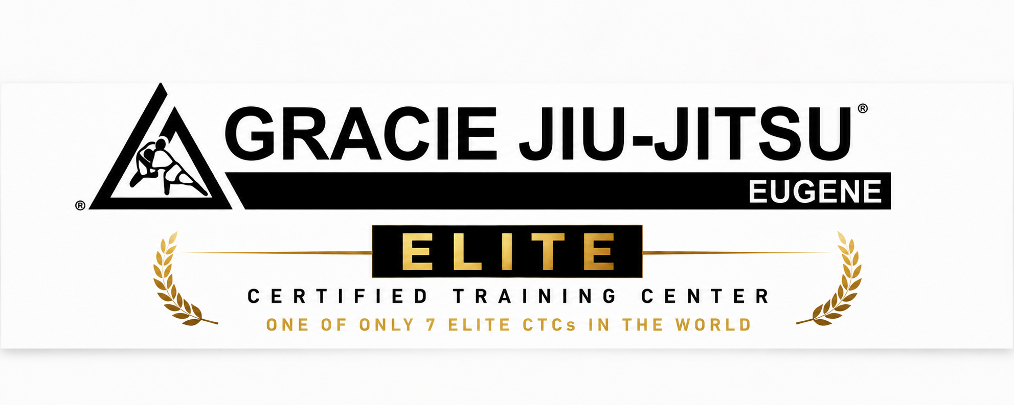 Main image of McKenzie Martial Arts