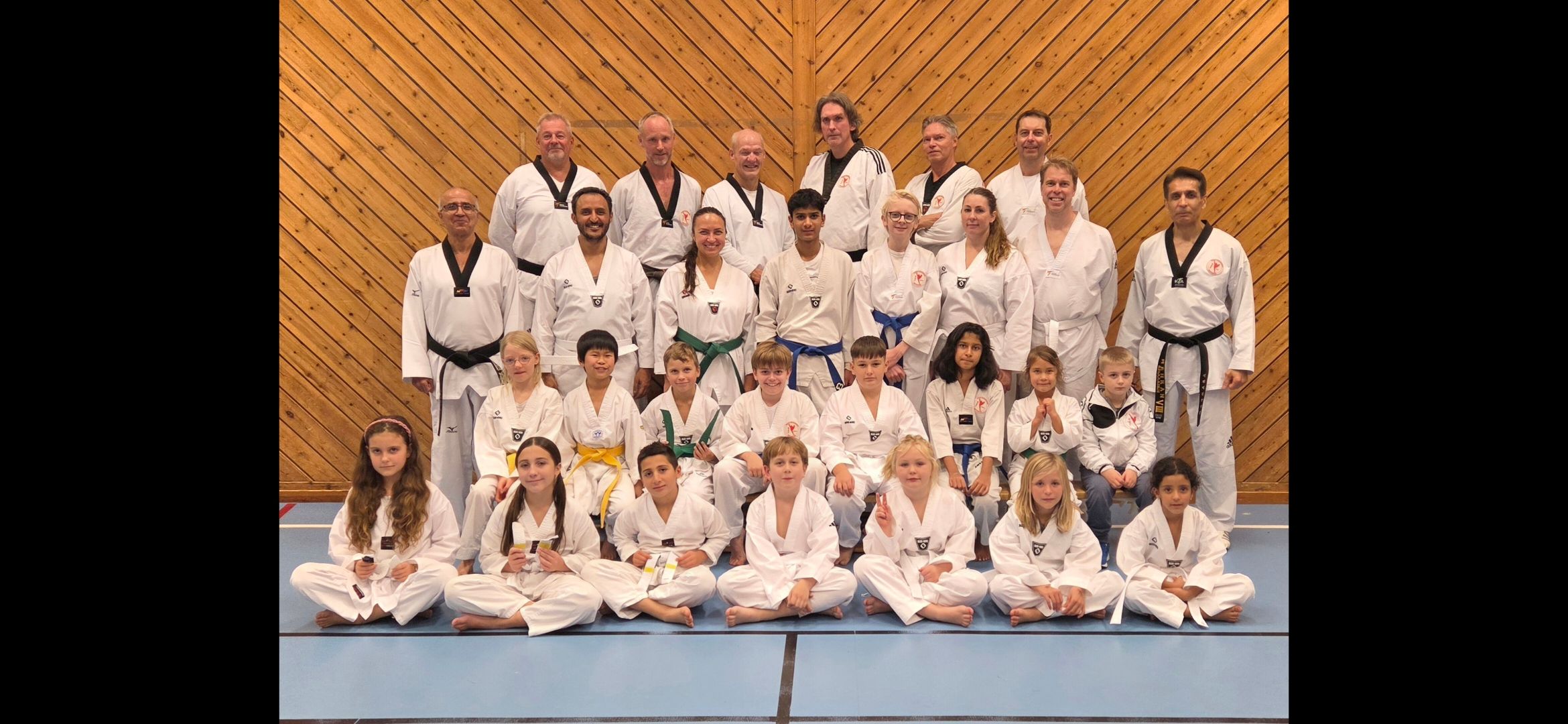 Main image of Mehr Taekwondo Club