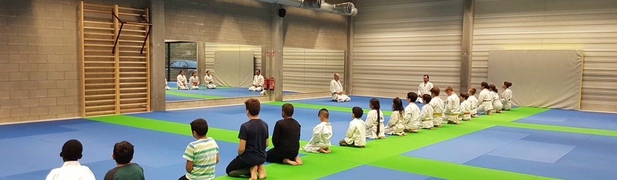 Main image of Meijin Ryu Karate-Do