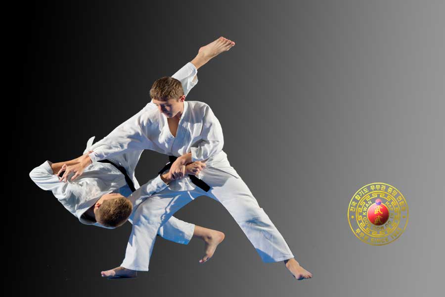 Main image of Melbourne Hapkido Academy