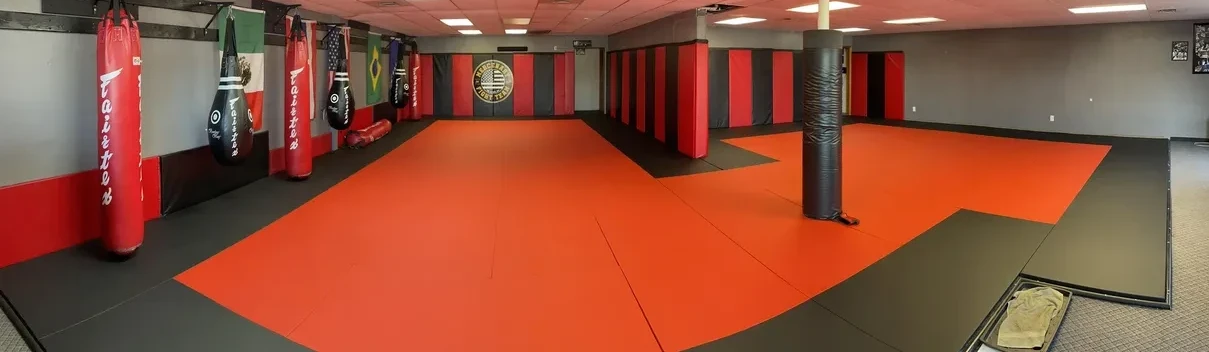 Main image of Mercenary Combat Academy