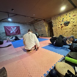 Main image of meta-jiujitsu