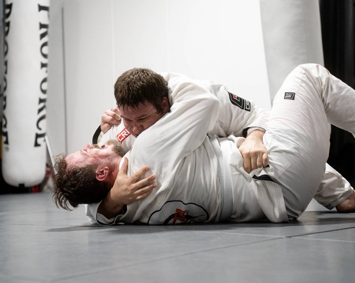 Main image of Meta Mixed Martial Arts