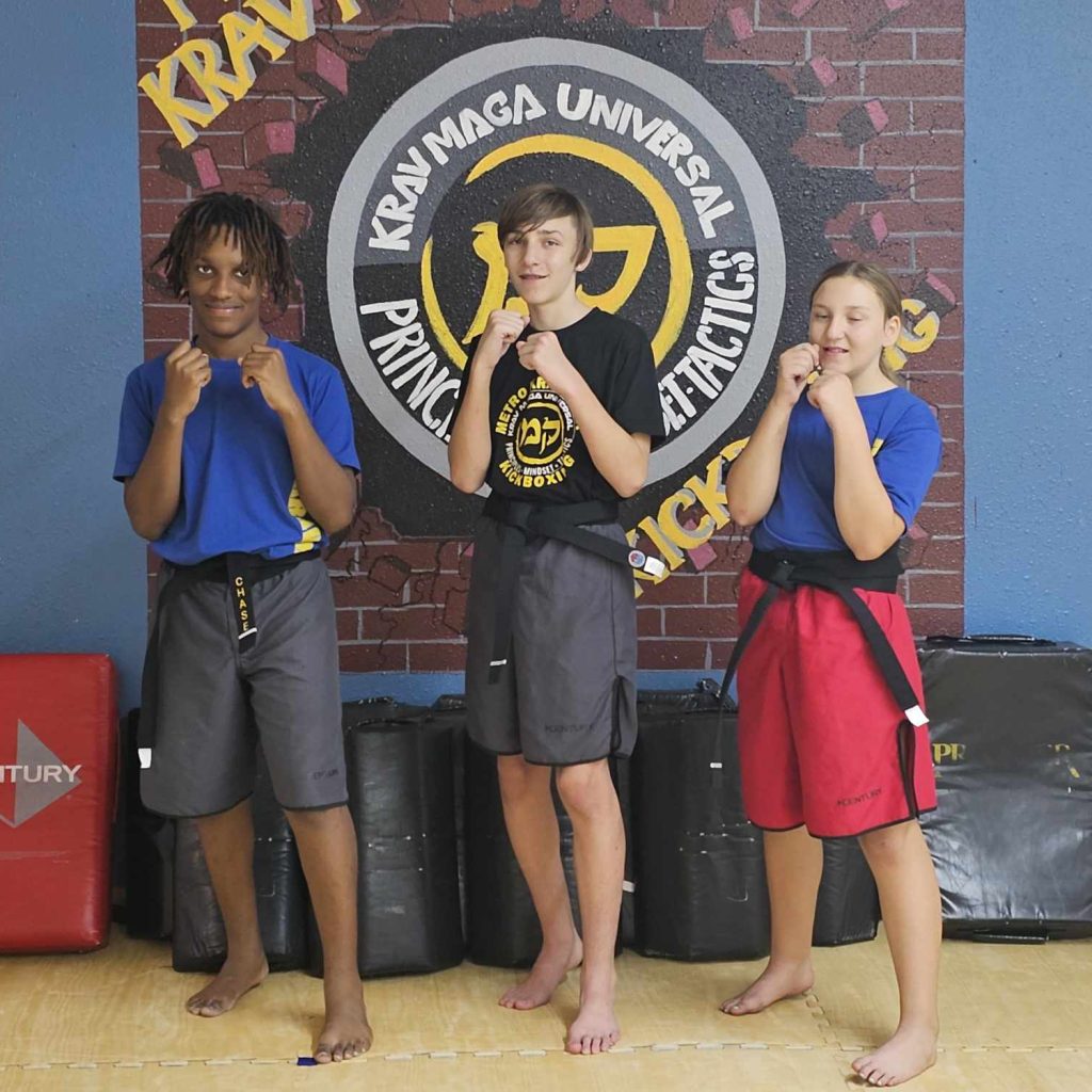 Main image of Metro Krav Maga & Kickboxing