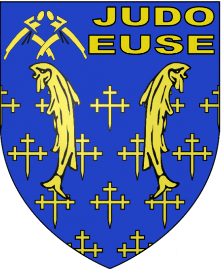 Main image of Metz Judo