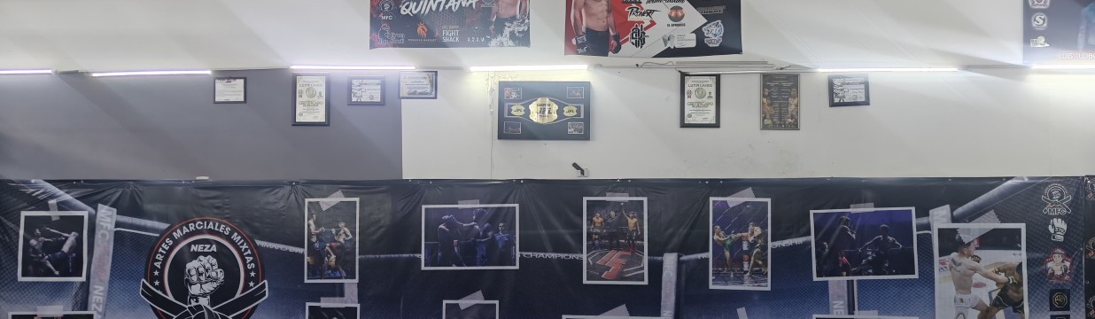 Main image of MEXICAN FIGTHER CENTER