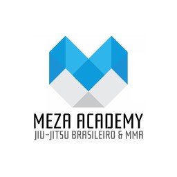 Main image of Meza Academy