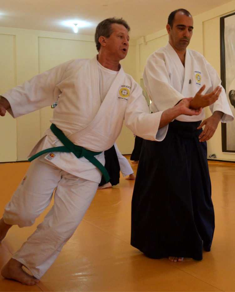 Main image of Michi Dojo