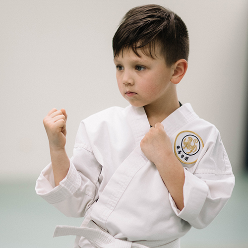 Main image of Midwest Shotokan Karate Fitness