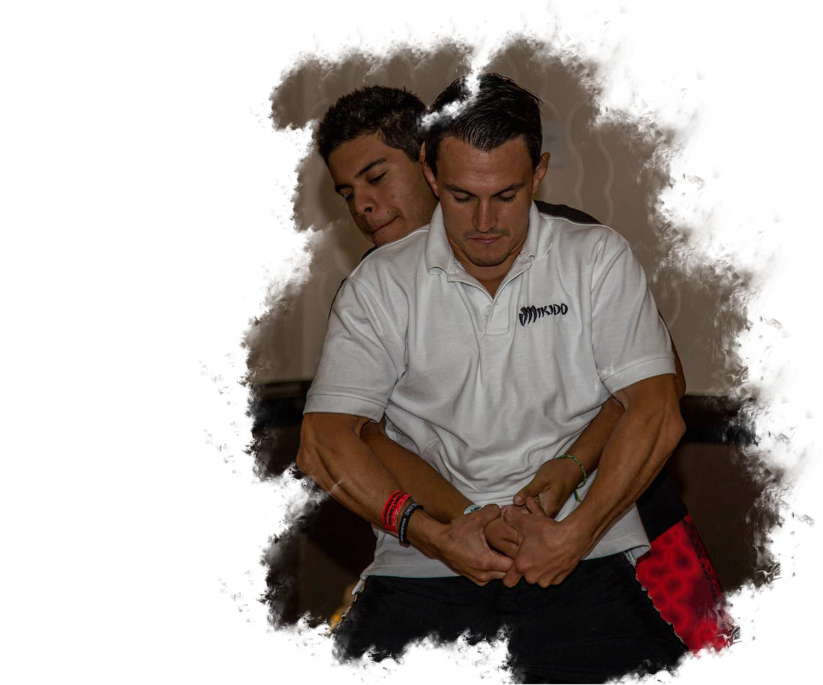 Main image of Mikido