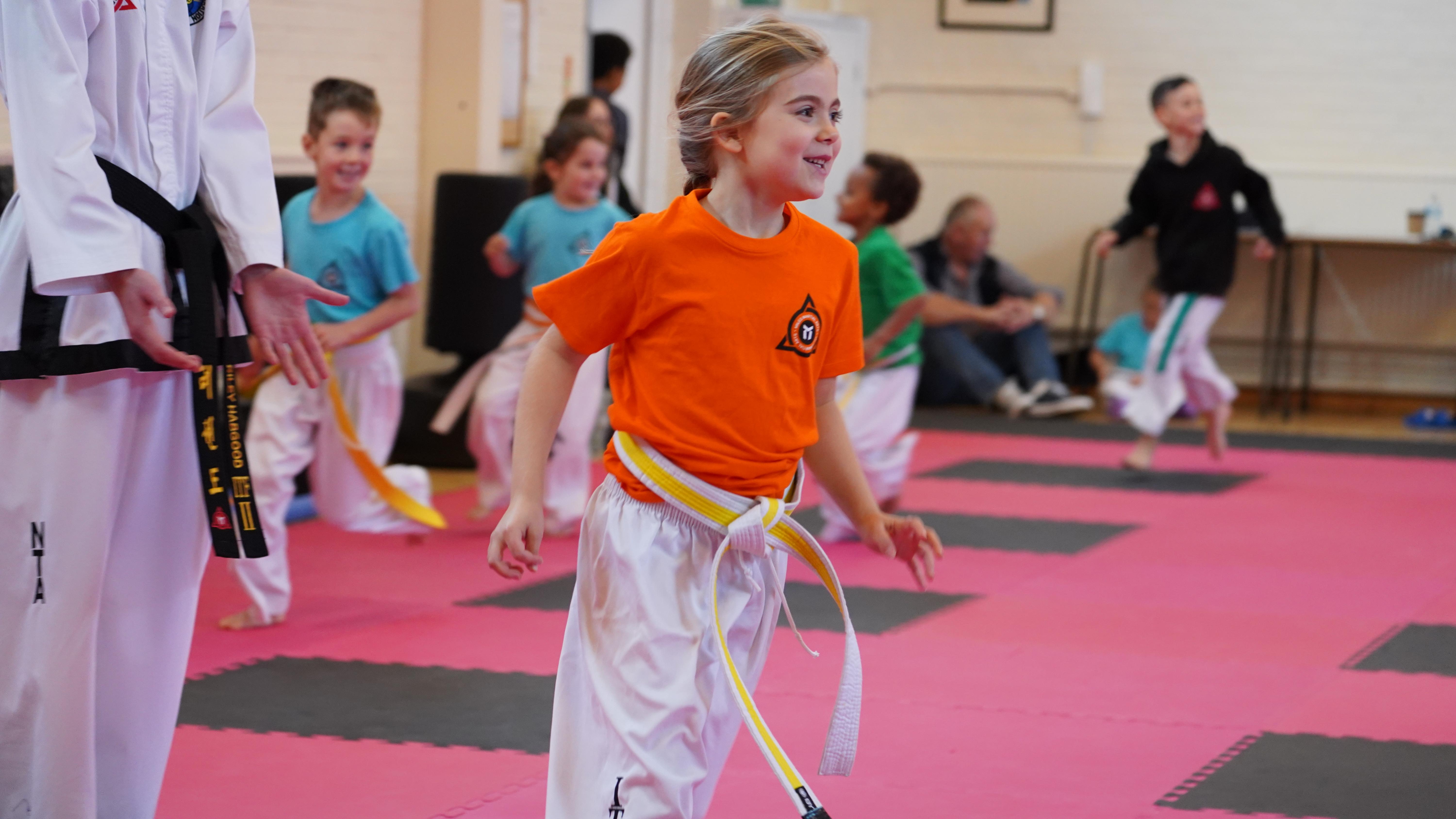 Main image of Miles Martial Arts - Hildenborough Dojang Studio