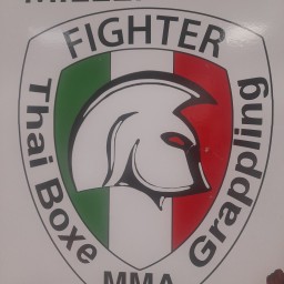 Main image of Millennium Fighter
